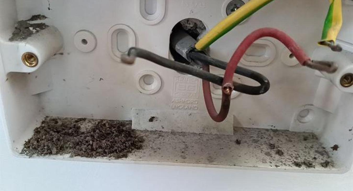 Tripping electrics caused by live touching earth at a property in Maidstone, Kent